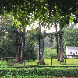Rainy day views from the porch